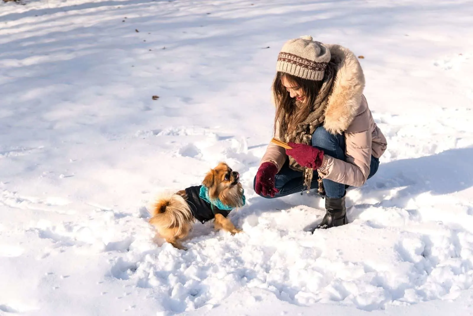 woman giving fish sticks to the dog in the winter outdoors