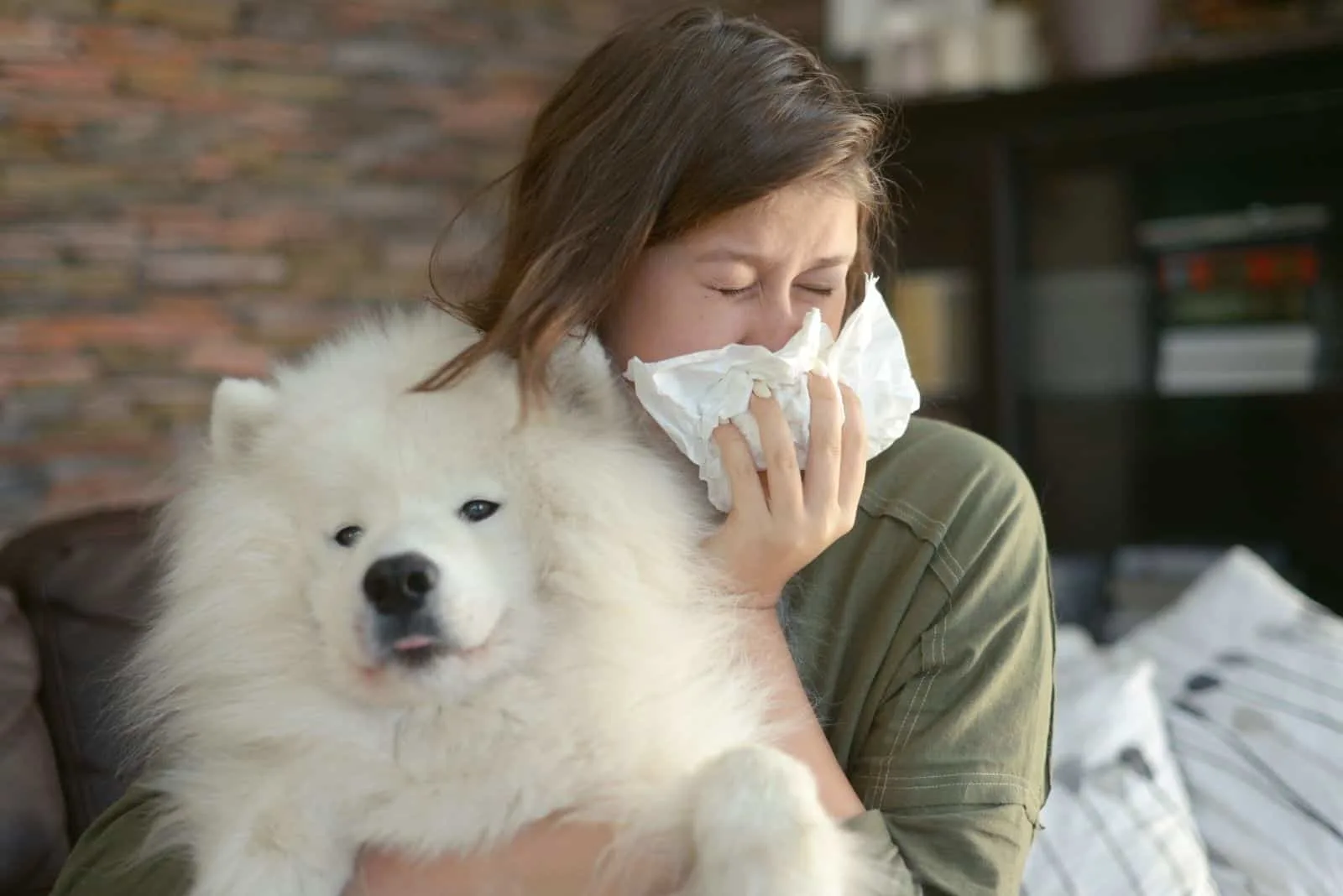 woman with allergies sneezing carrying a furry white dog