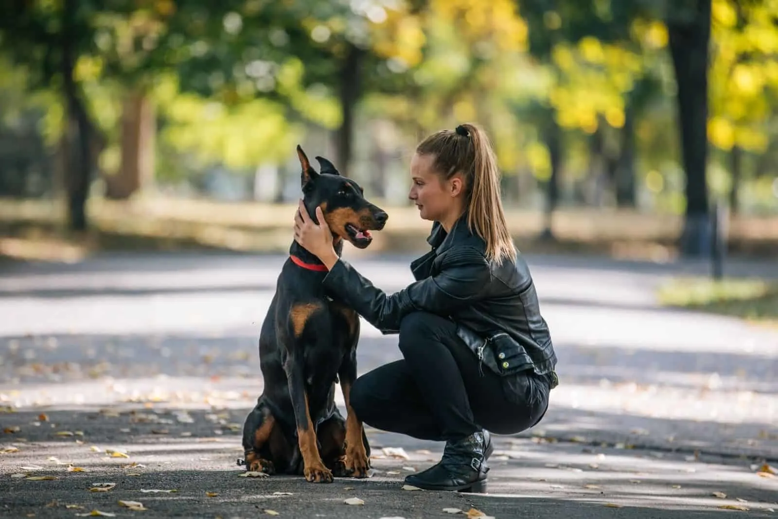 woman with beautiful doberman in the middle of the street in the park