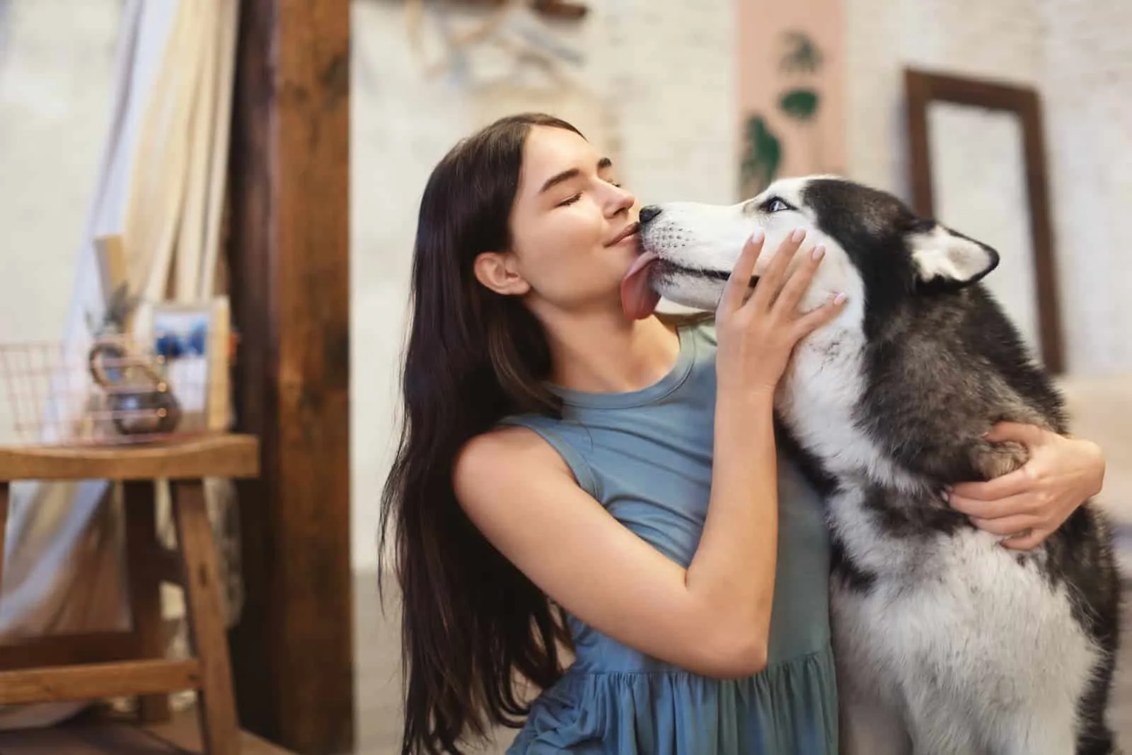 woman with cute Husky dog at home