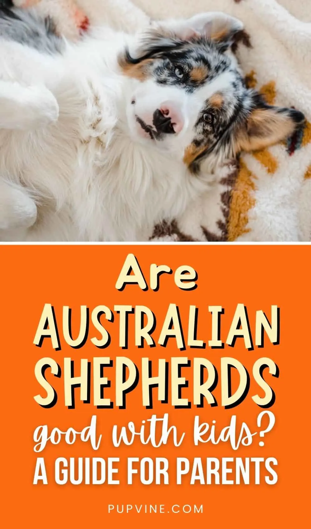 Are Australian Shepherds Good With Kids A Guide For Parents