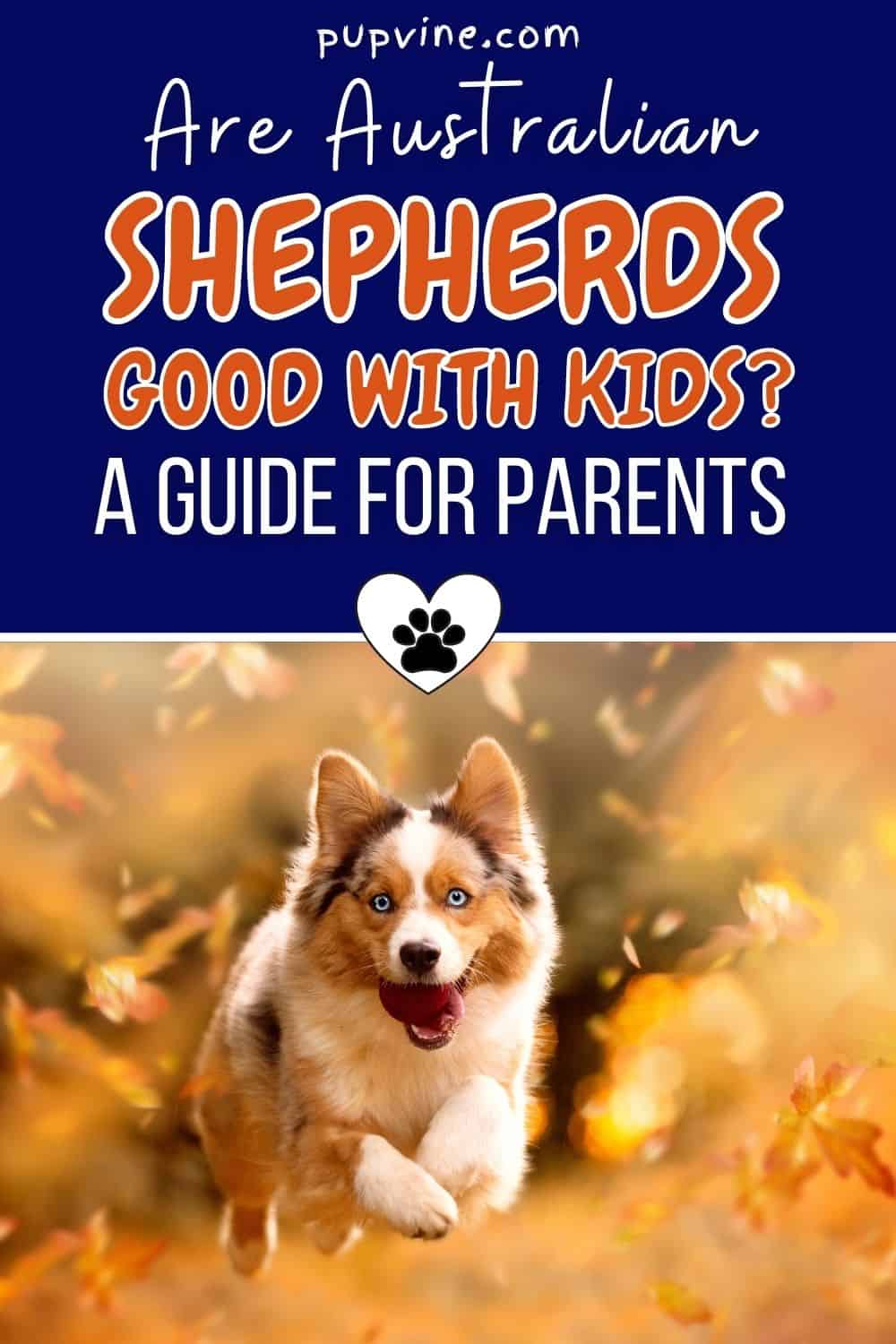 Are Australian Shepherds Good With Kids? A Guide For Parents