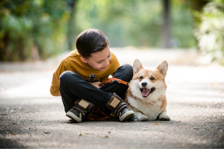 the boy and Corgi rest on the road after the walk