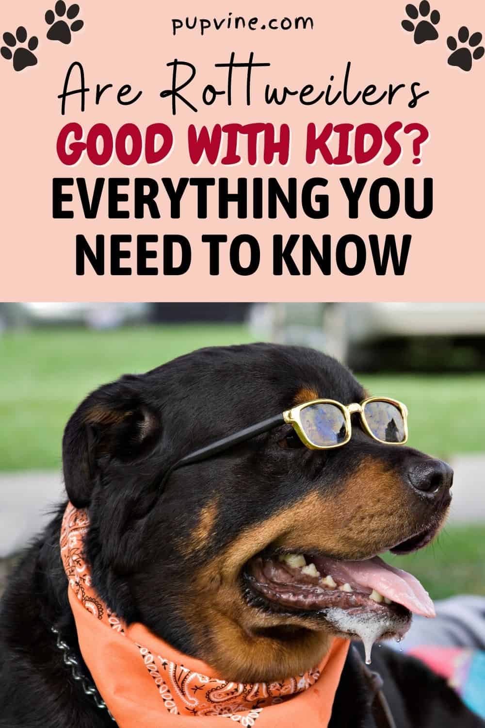 Are Rottweilers Good With Kids? Everything You Need To Know