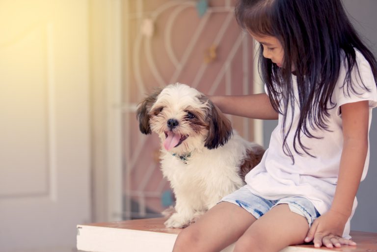 girl sitting with her Shih Tzu dog