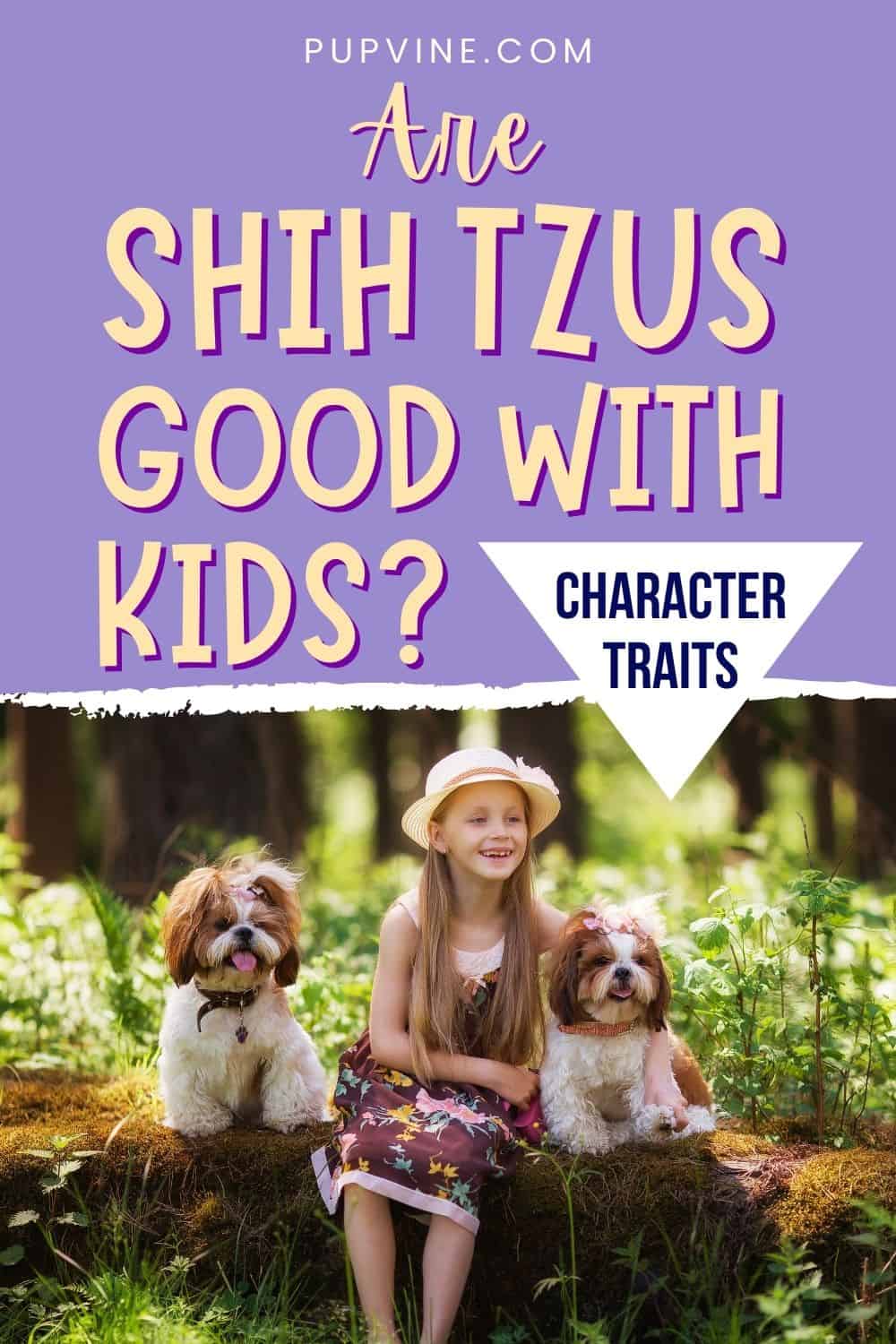 Are Shih Tzus Good With Kids? Shih Tzu Character Traits