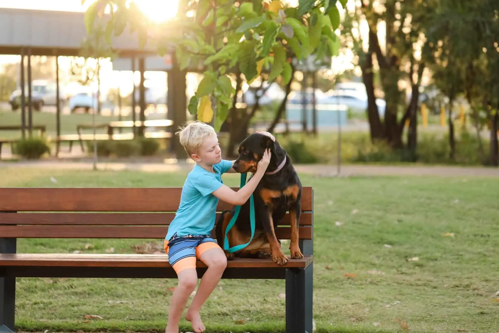 Boy and pet rottweiler dog sitting on park bench