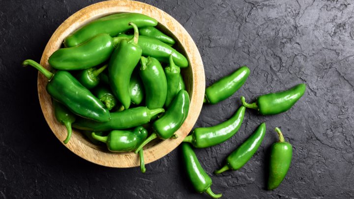 Can Dogs Eat Jalapenos? The Effects Of Spicy Foods On Dogs
