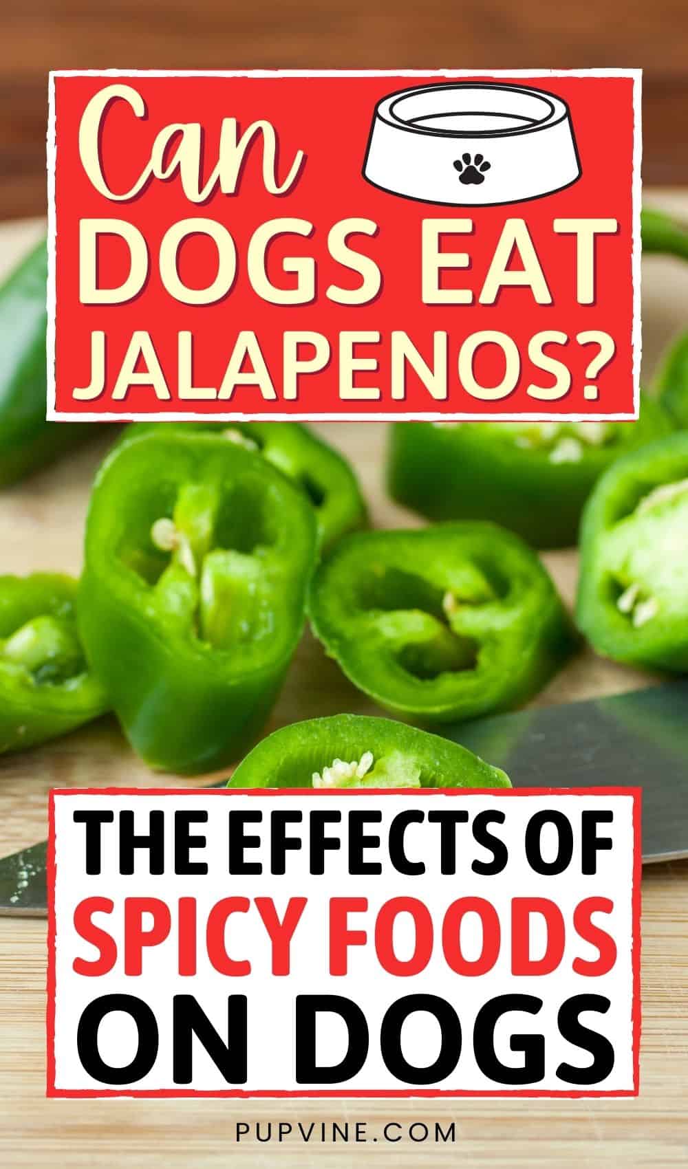 Can Dogs Eat Jalapenos The Effects Of Spicy Foods On Dogs