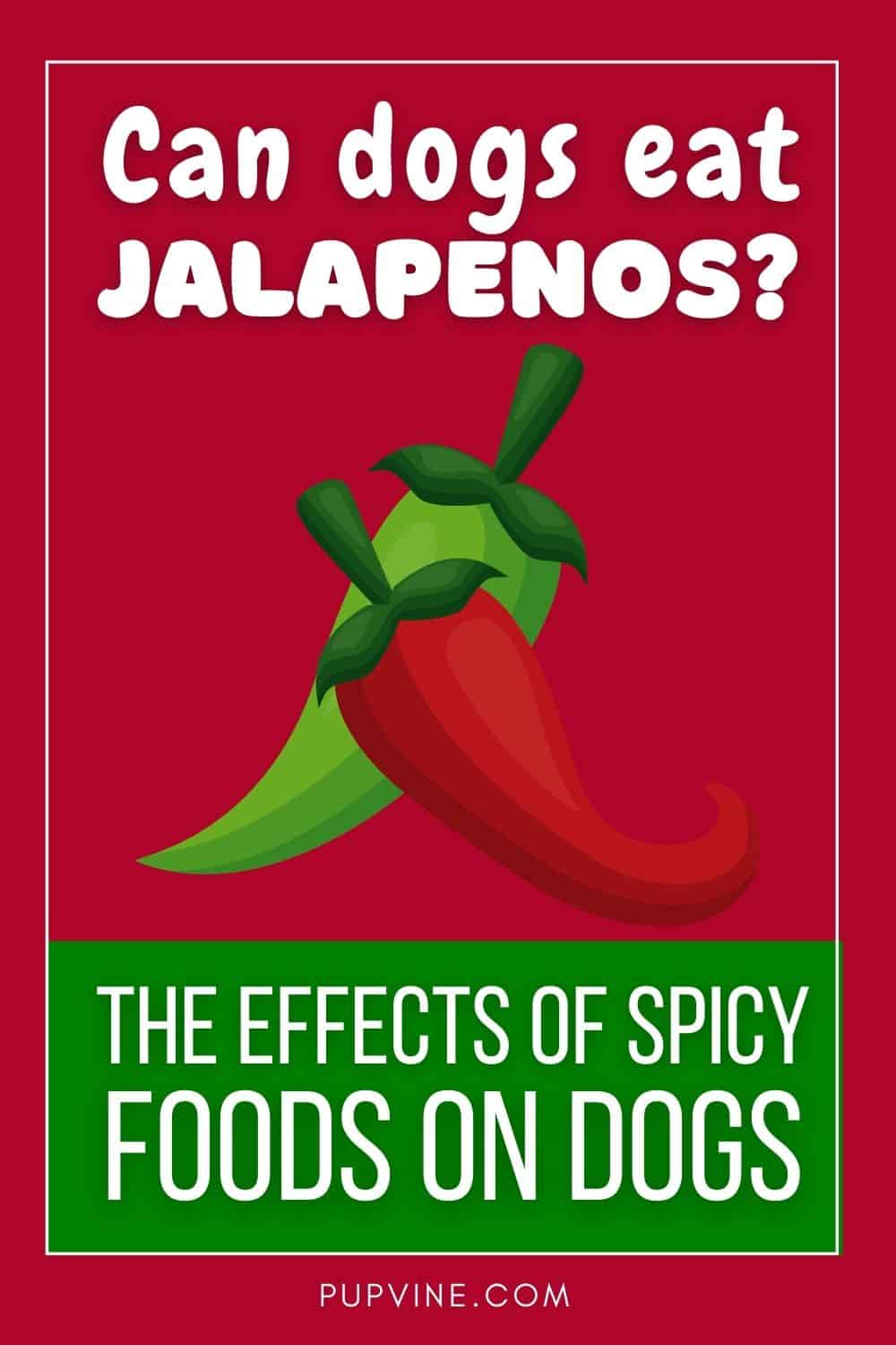 Can Dogs Eat Jalapenos? The Effects Of Spicy Foods On Dogs