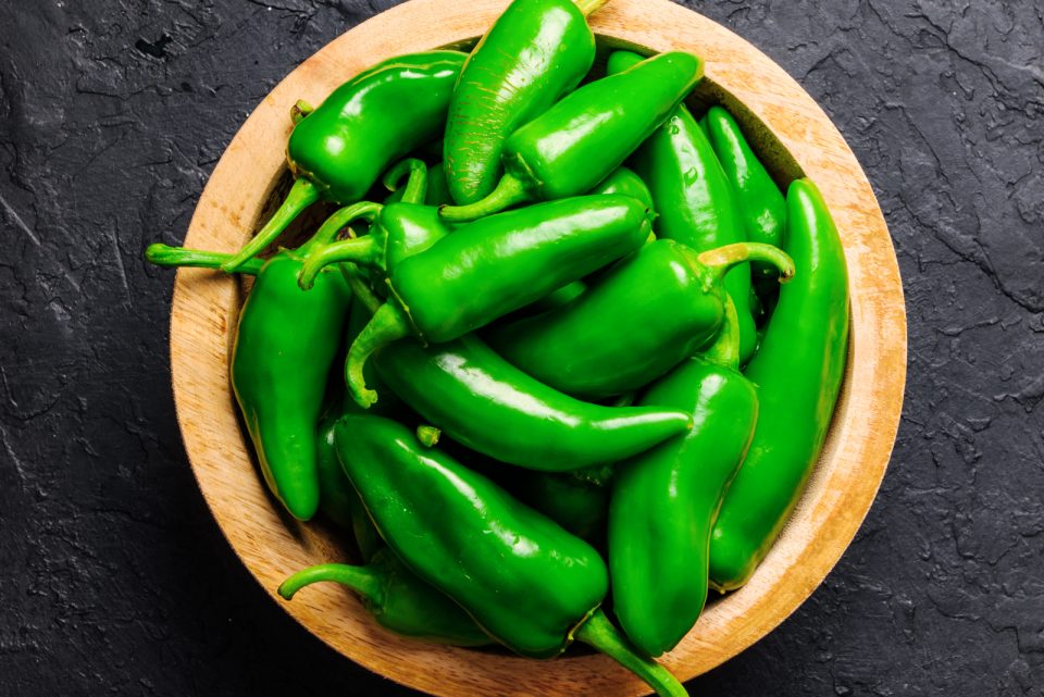 Can Dogs Eat Jalapenos? The Effects Of Spicy Foods On Dogs