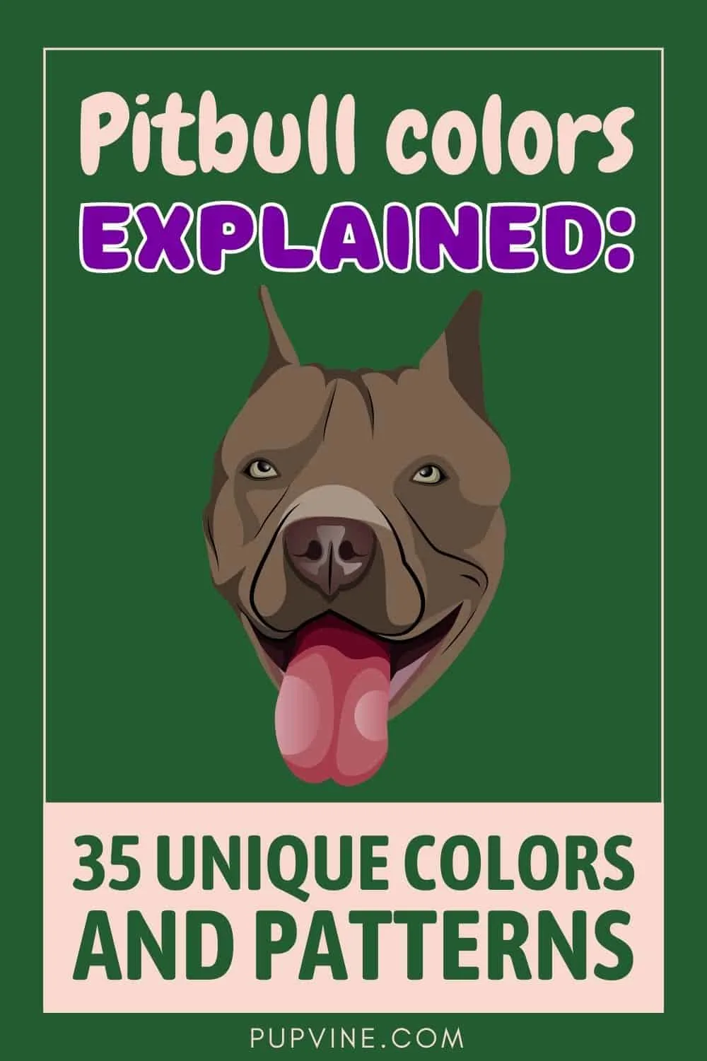 Pitbull Colors Explained: 35 Unique Colors And Patterns