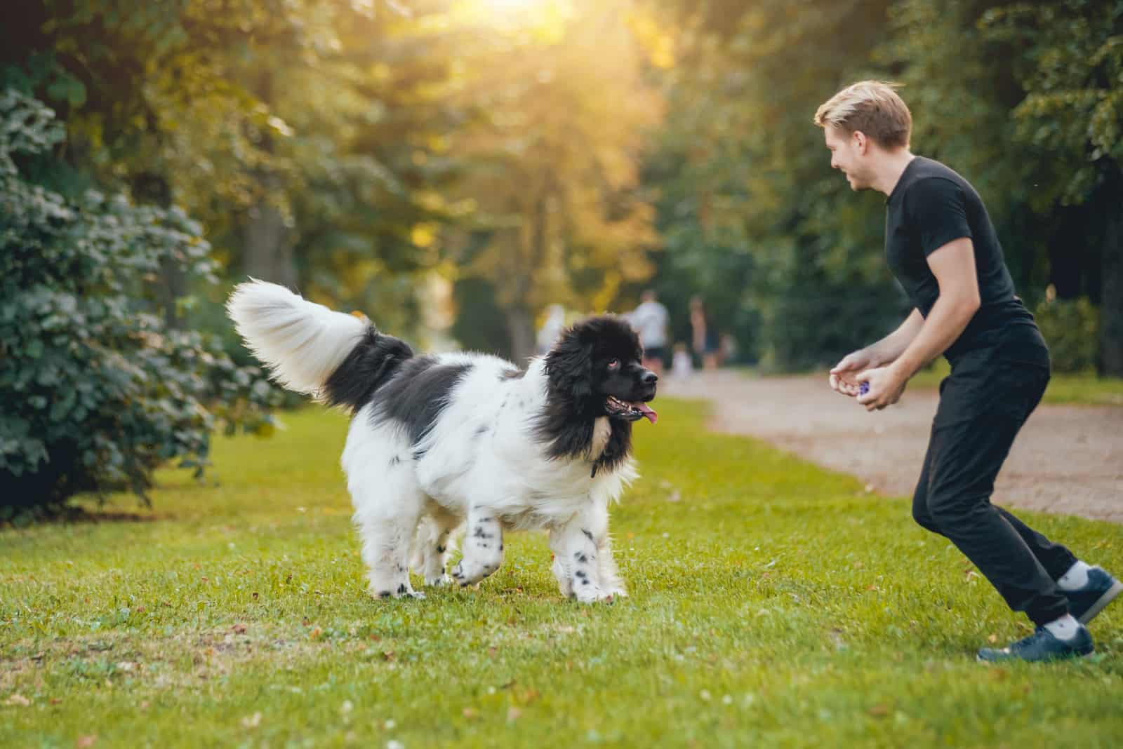 a man is having fun in the park with his dog