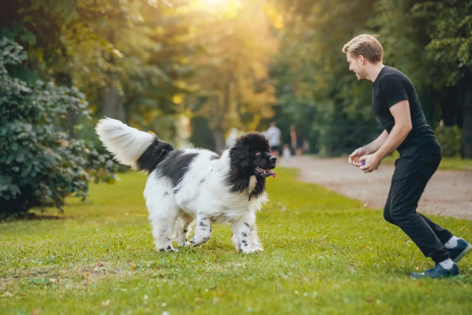 a man is having fun in the park with his dog