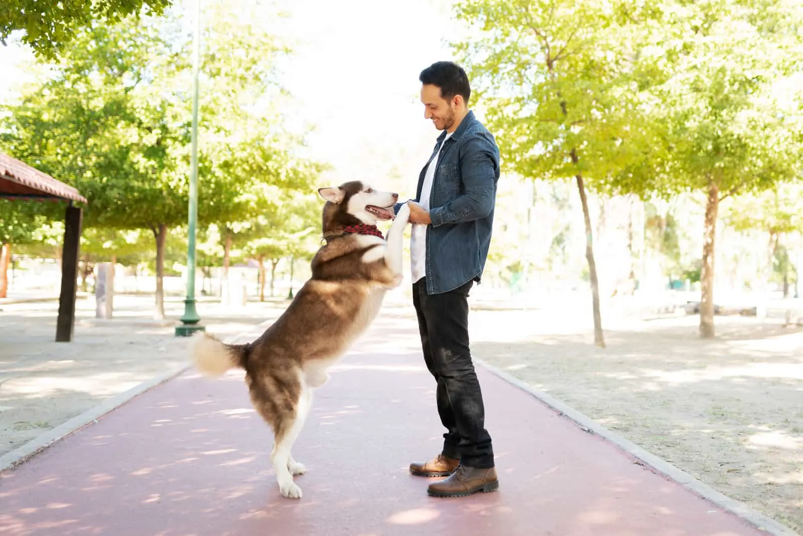 a man is having fun with a beautiful husky in the park