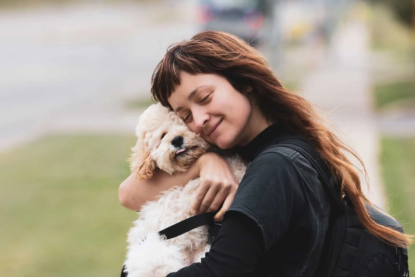 a woman lovingly holds a Maltipoo dog in her arms
