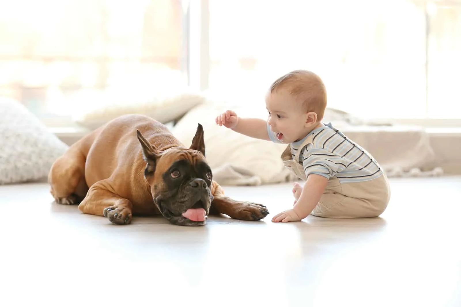 little baby boy with boxer dog on the floor at home
