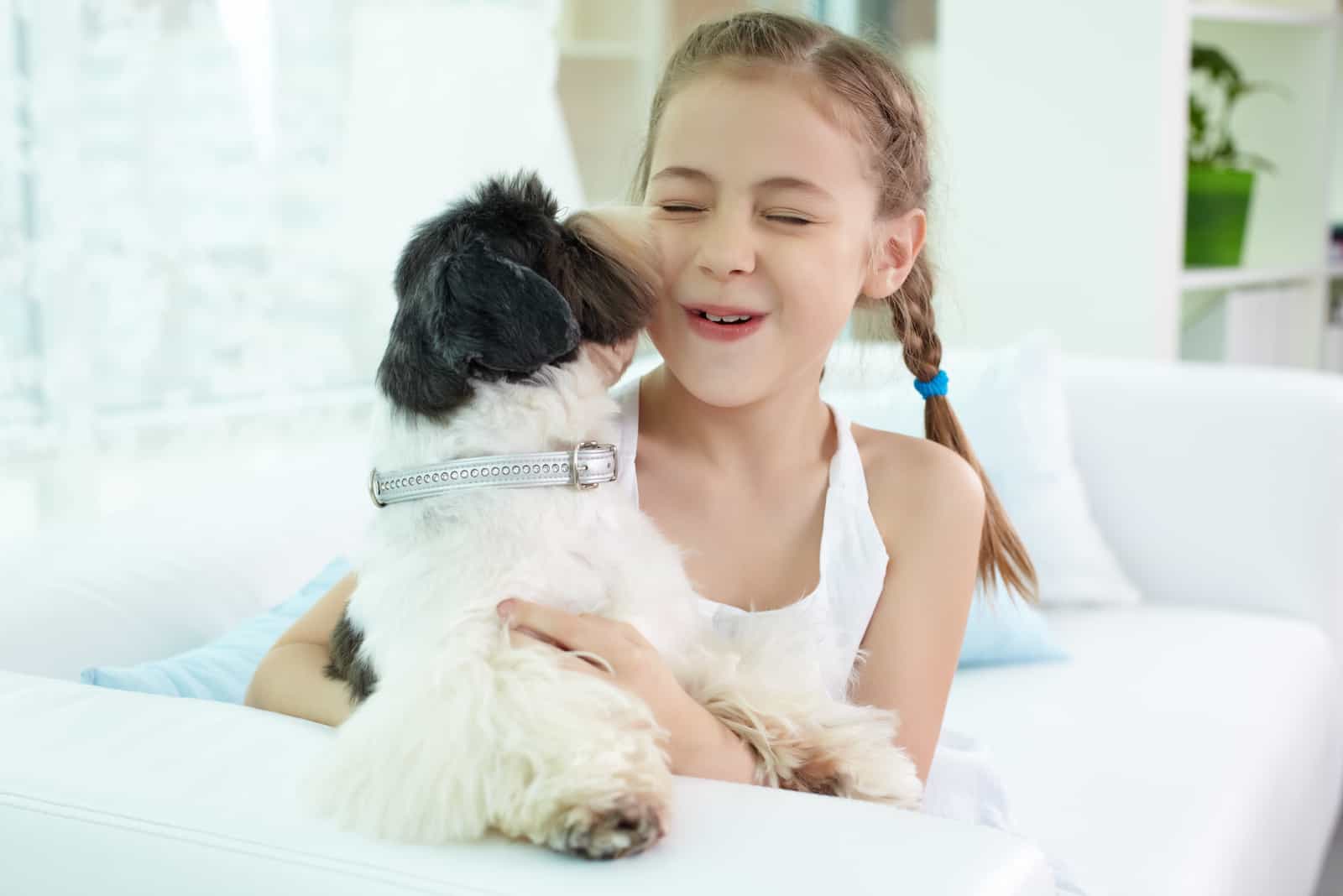 happy girl playing with shih-tzu dog at home