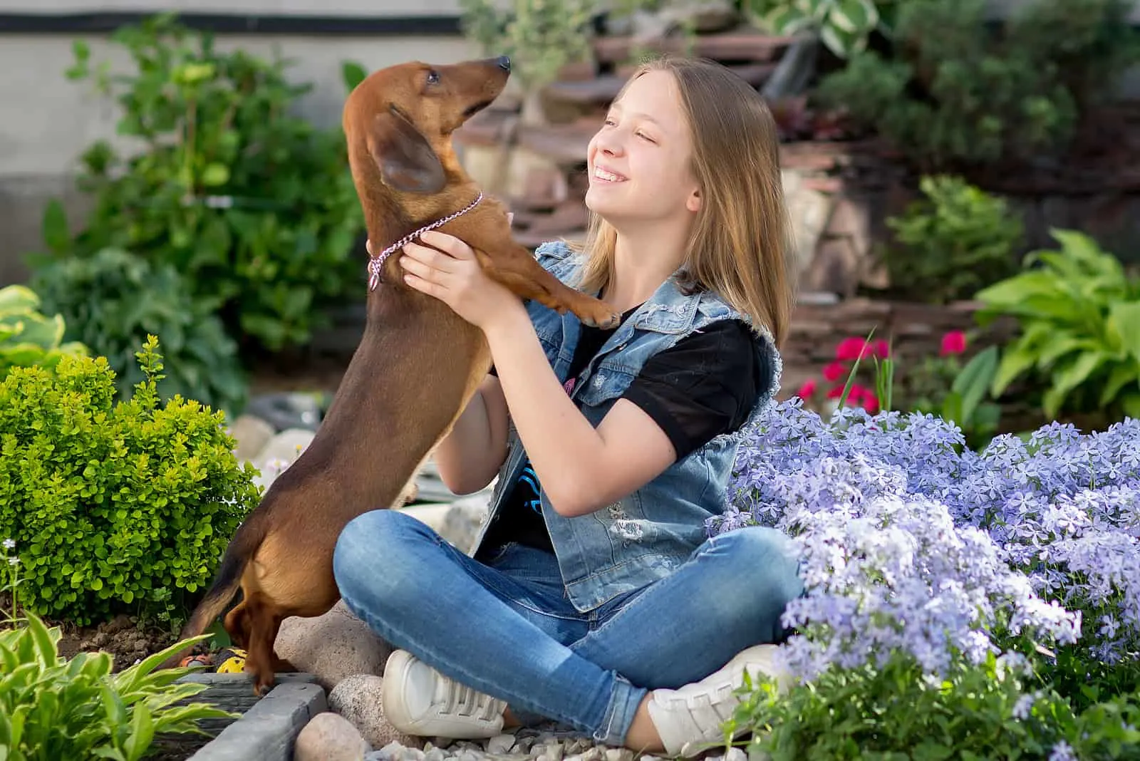 girl playing with a Dachshund
