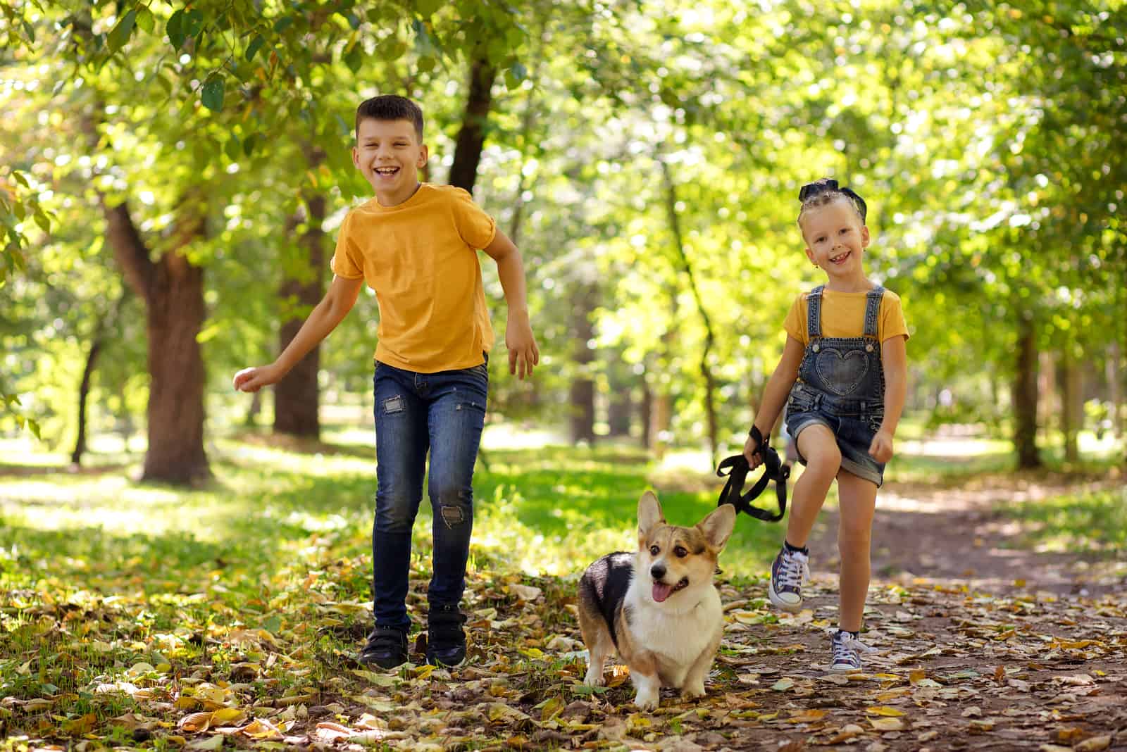 happy children run with a corgi dog