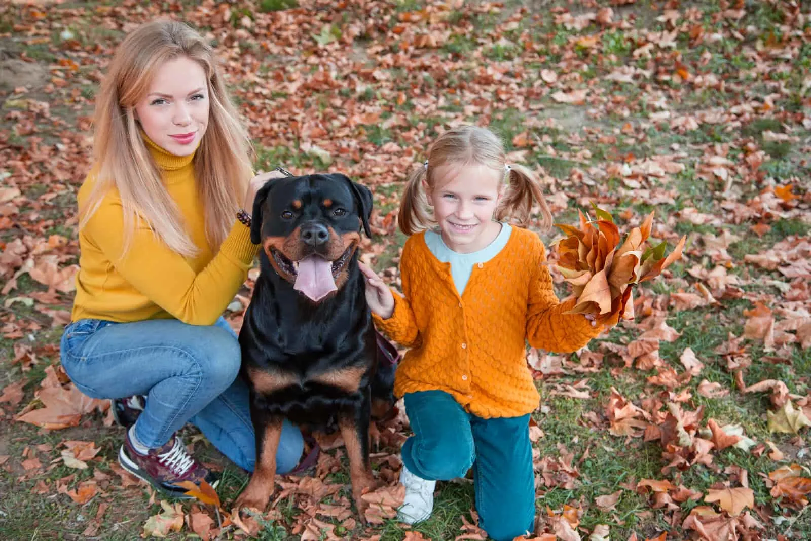 happy family is having fun with Rottweiler dog