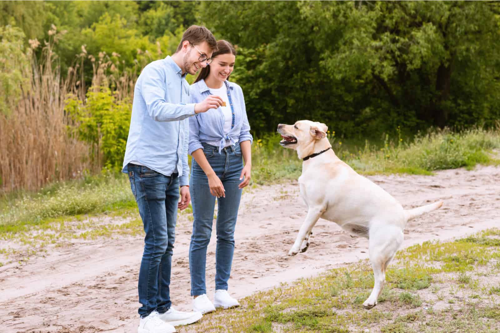 in nature a young couple gives a treat to their cheerful dog