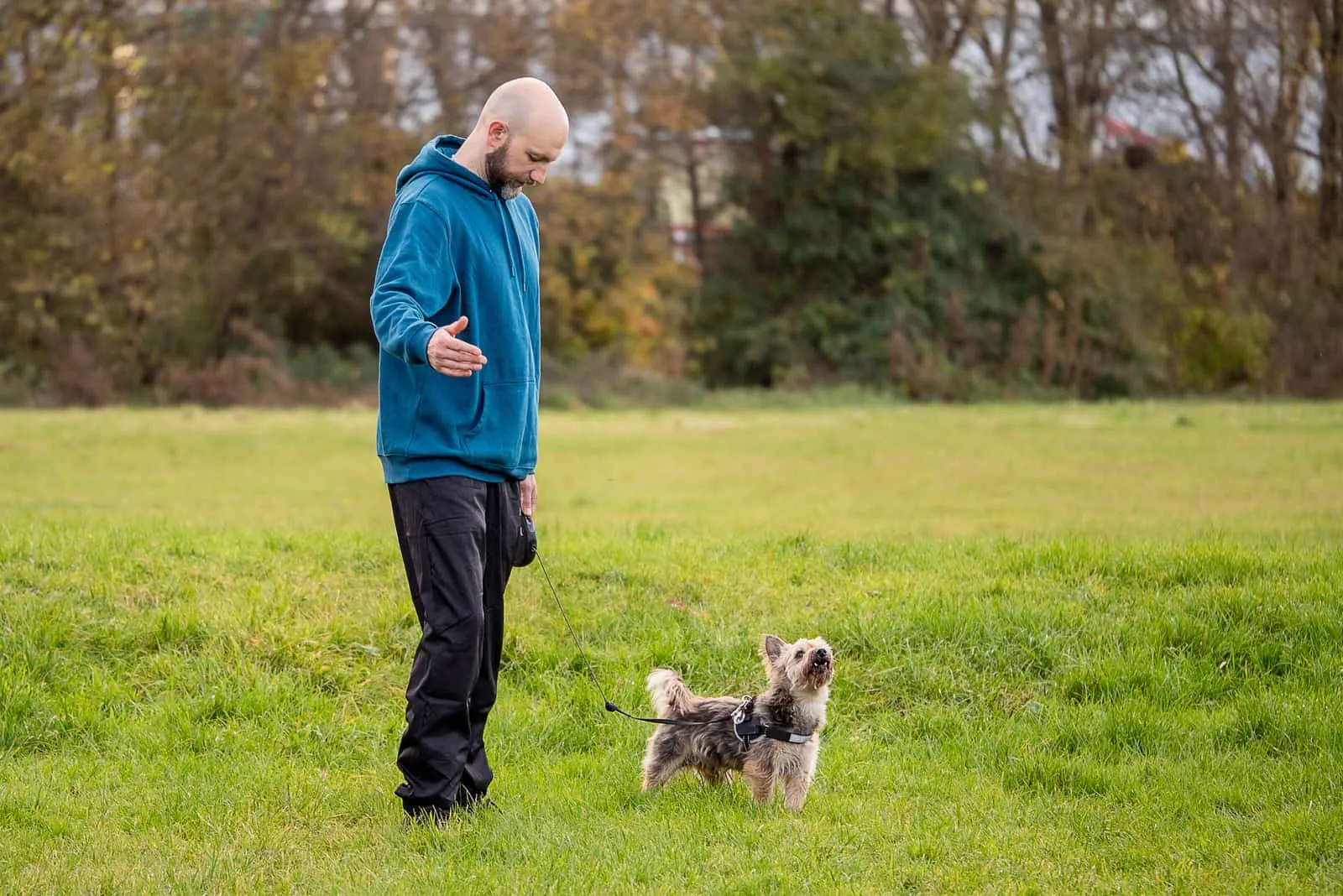 man in blue hoodie walking with his pet Yorkshire terrier