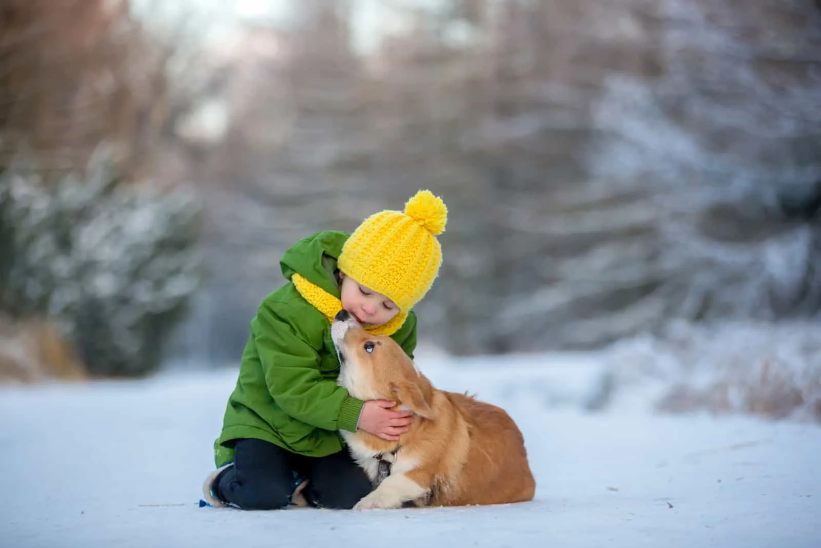 outside in the snow a child kisses a dog on the muzzle