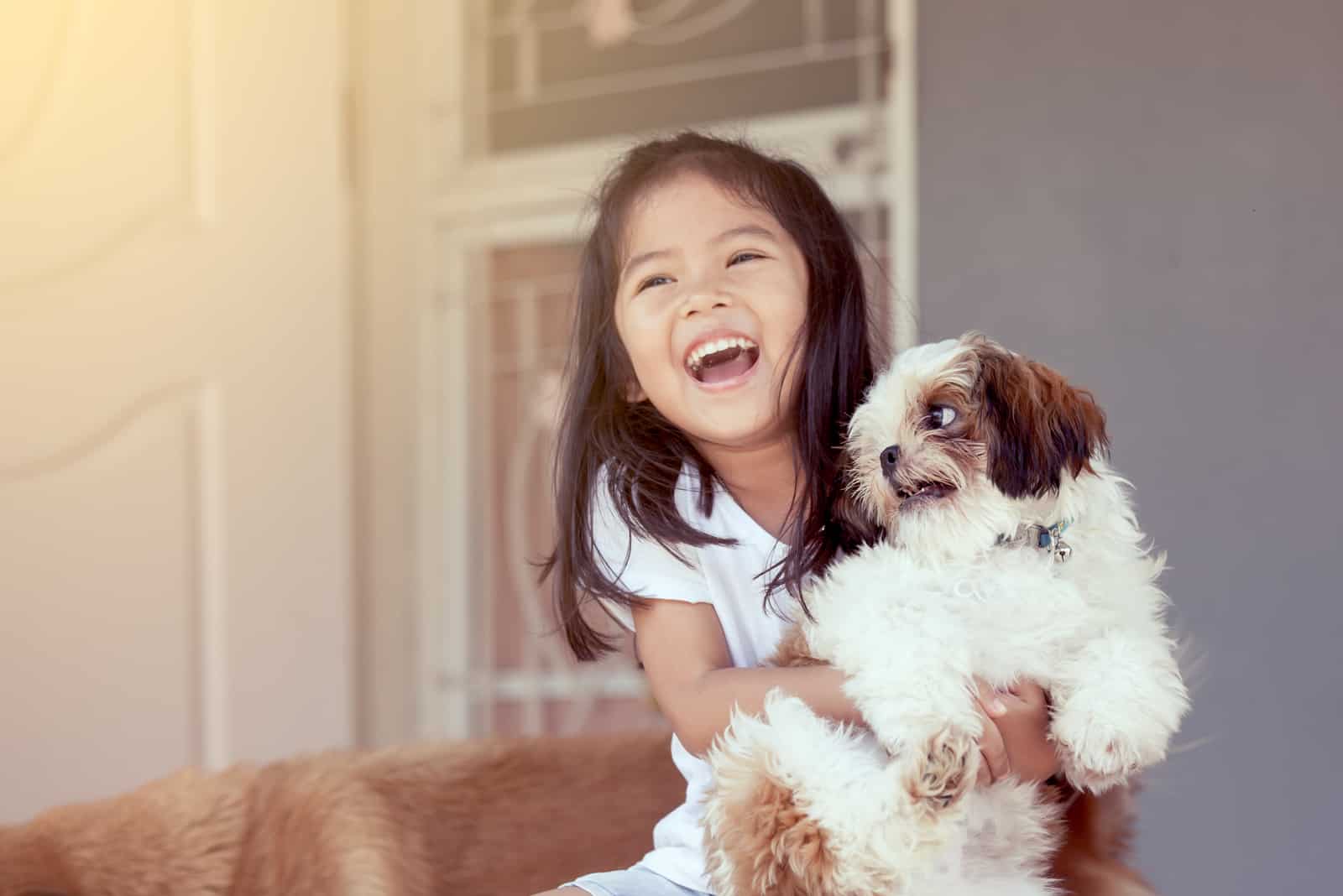 smiling asian girl having fun with shih tzu dog