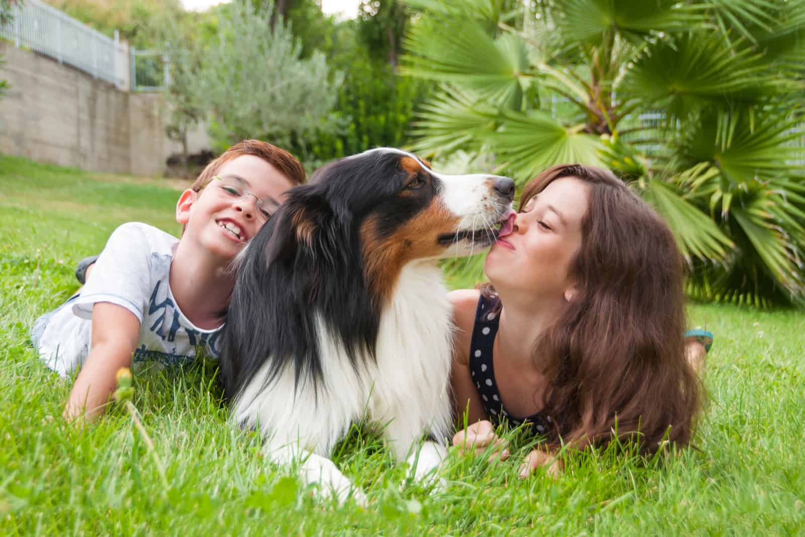 two children lying in the grass and having fun with an Australian Shepherd