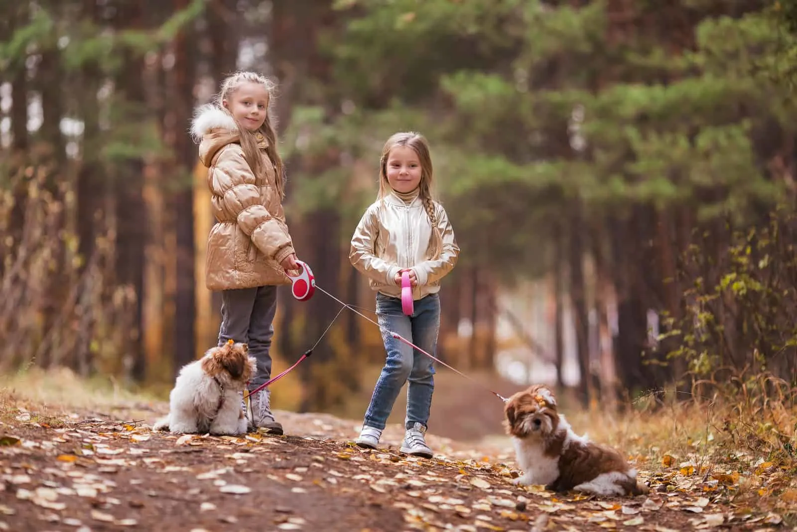 two little girls walking with their Shih Tzu dogs