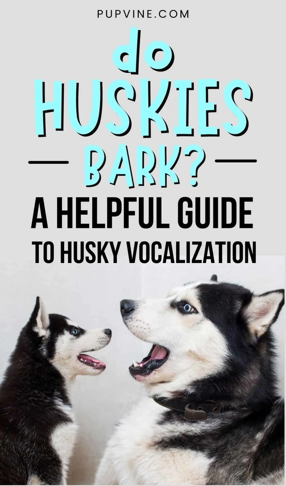 do siberian huskies bark a lot