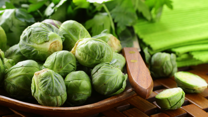 Can Dogs Eat Brussels Sprouts? A Doggy Approved Veggie