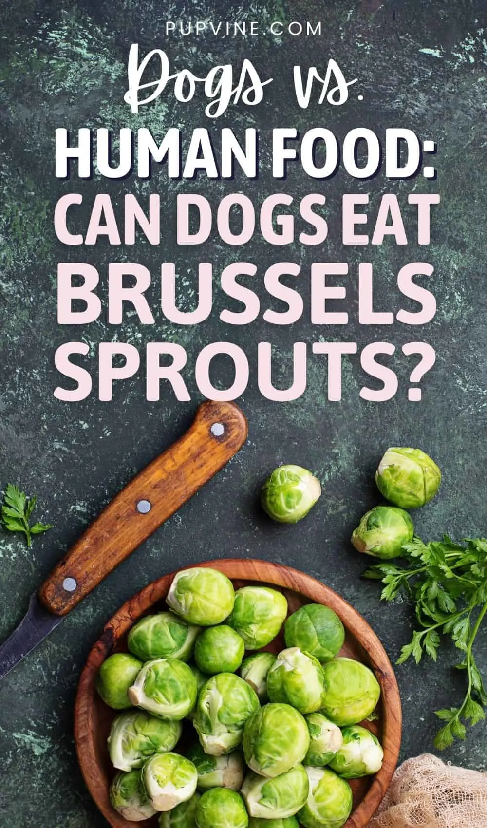 Dogs Vs. Human Food: Can Dogs Eat Brussels Sprouts?