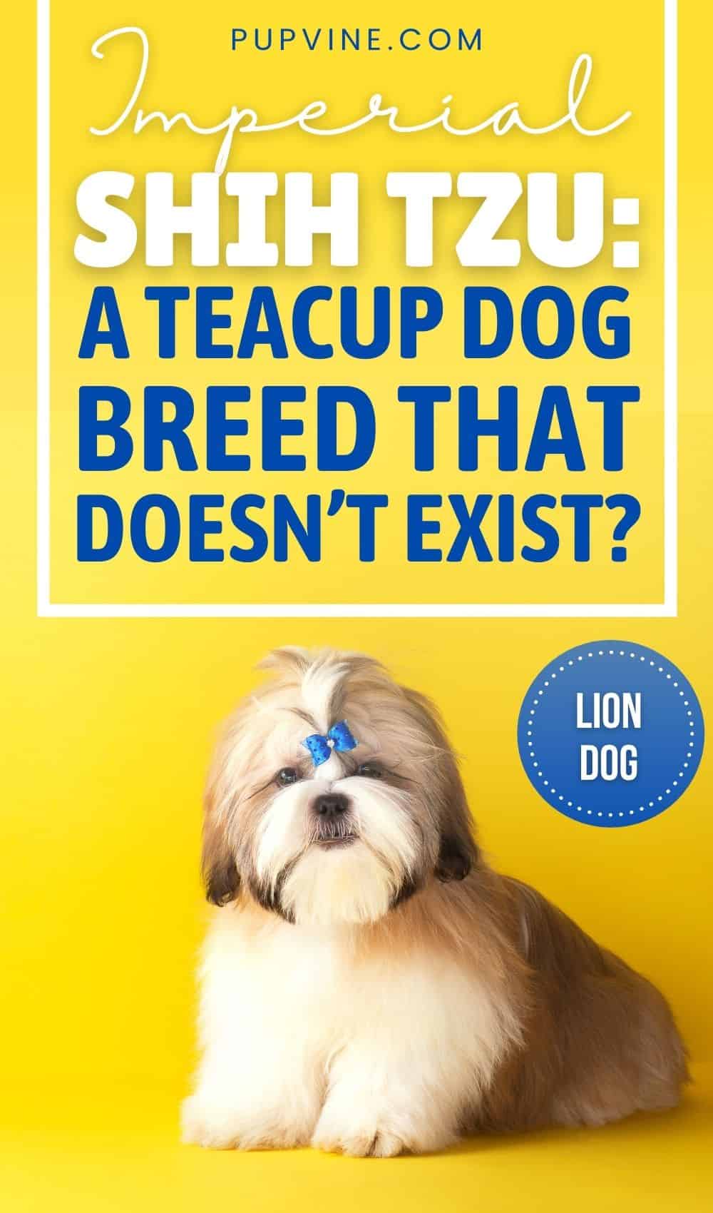 Imperial Shih Tzu: A Teacup Dog Breed That Doesn't Exist?