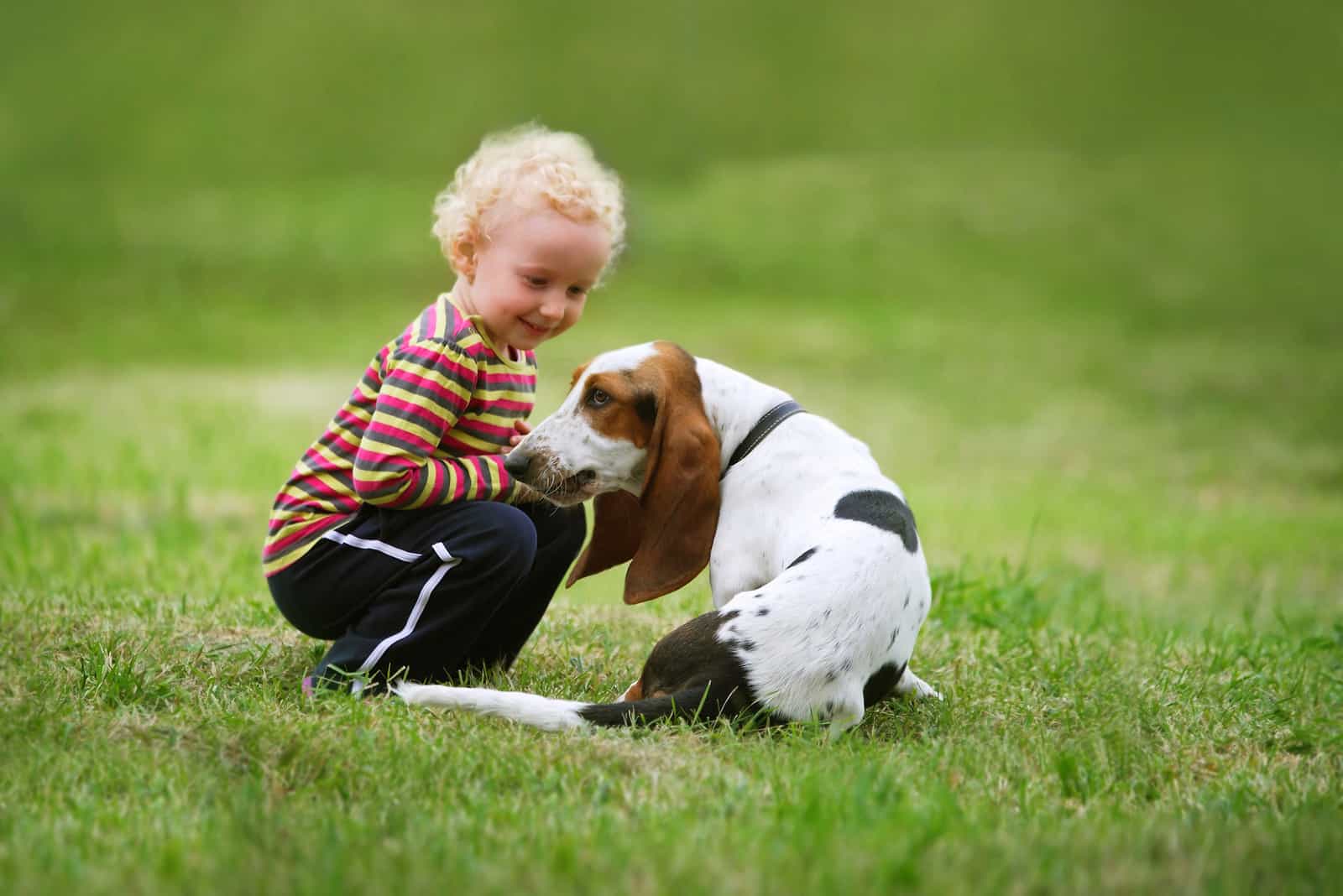 Little girl playing with a dog in the park