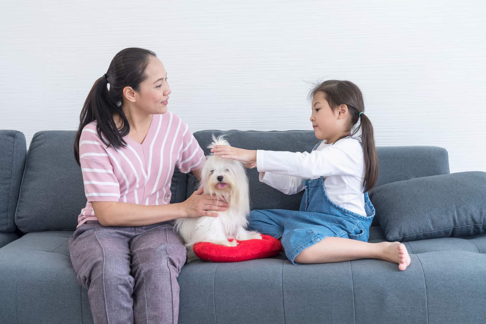 Mom and daughter grooming a long-haired white dog on sofa