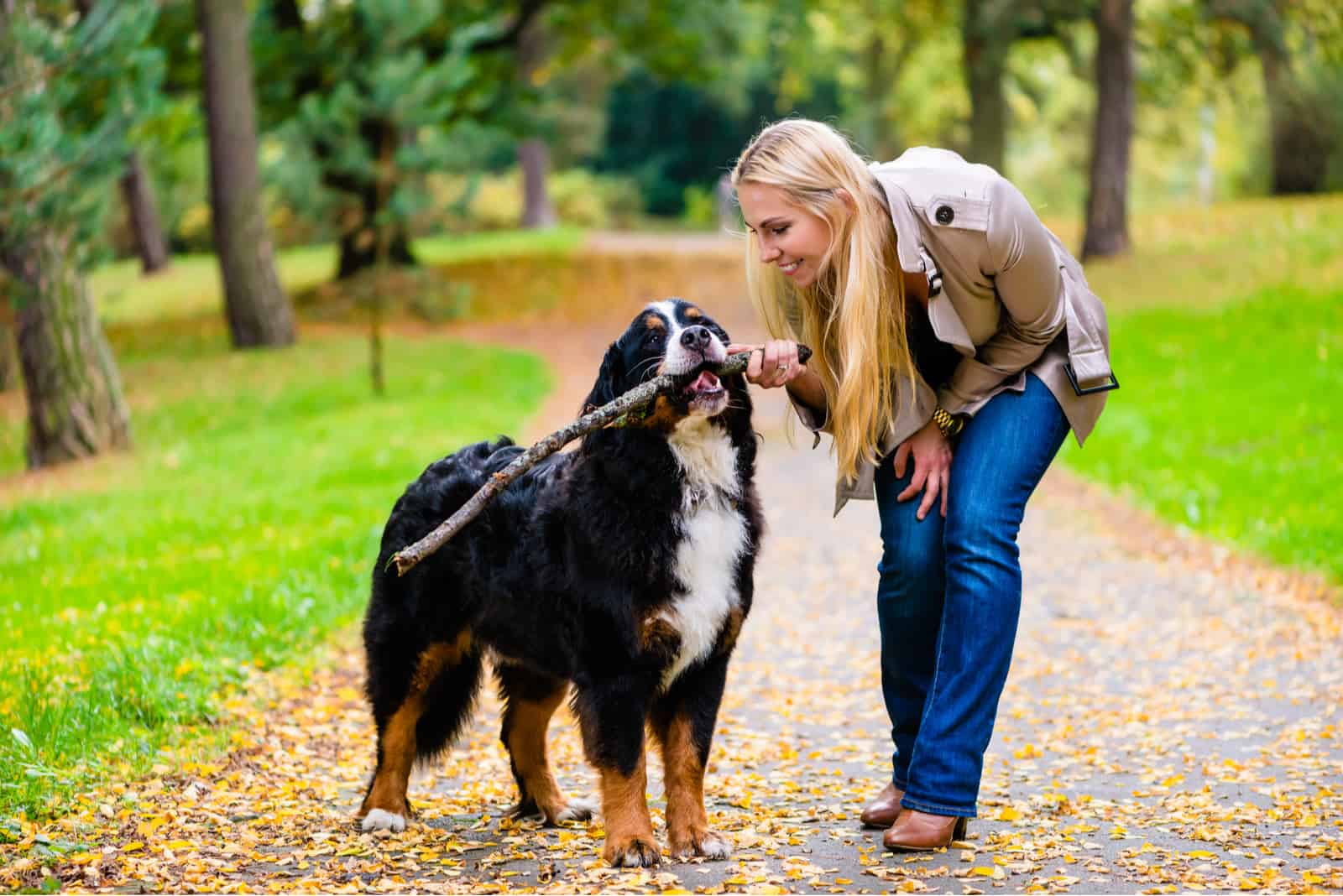 Woman and dog playing in park