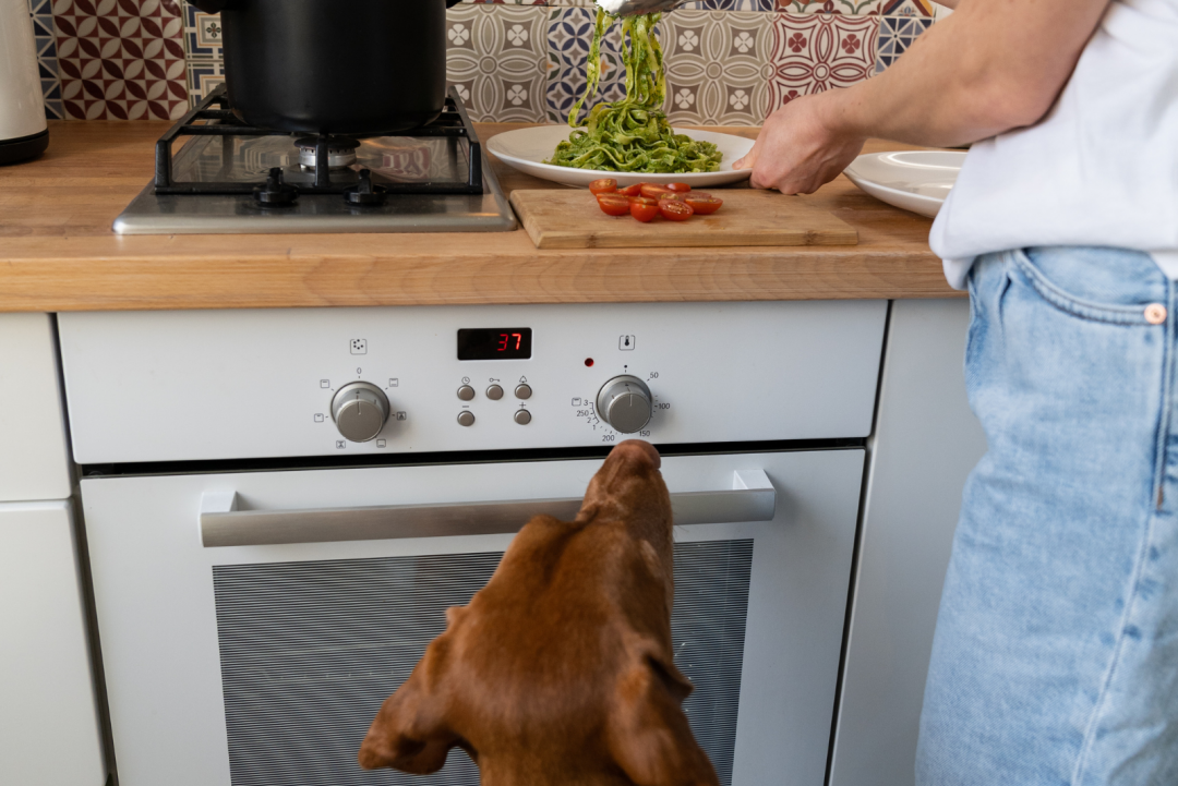 Can Dogs Eat Pesto? Is This Sauce Safe For My Dog?