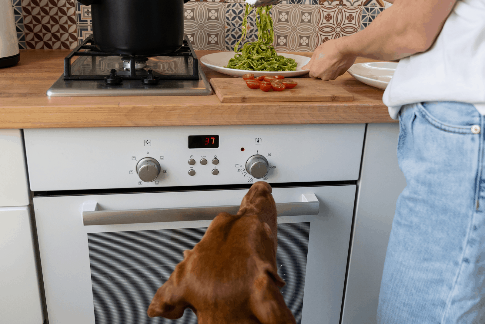 dog waiting for pasta pesto prepared by woman in the kitchen