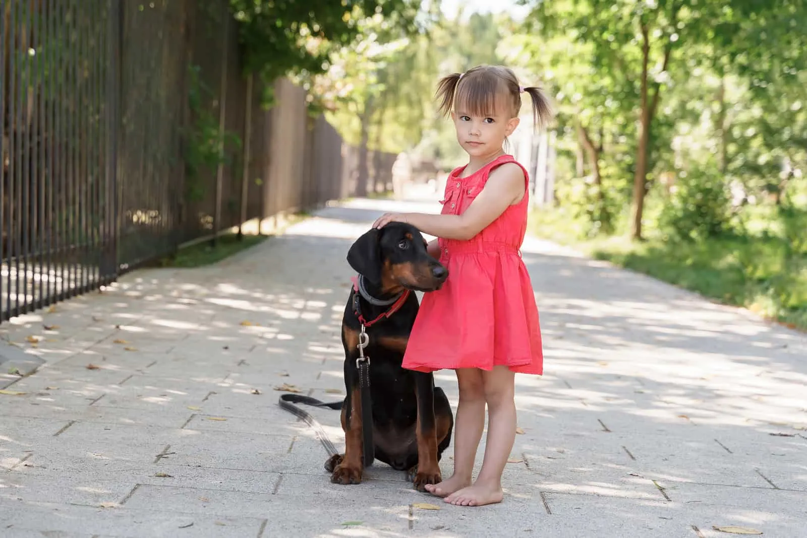 girl with beautiful doberman puppy outdoors