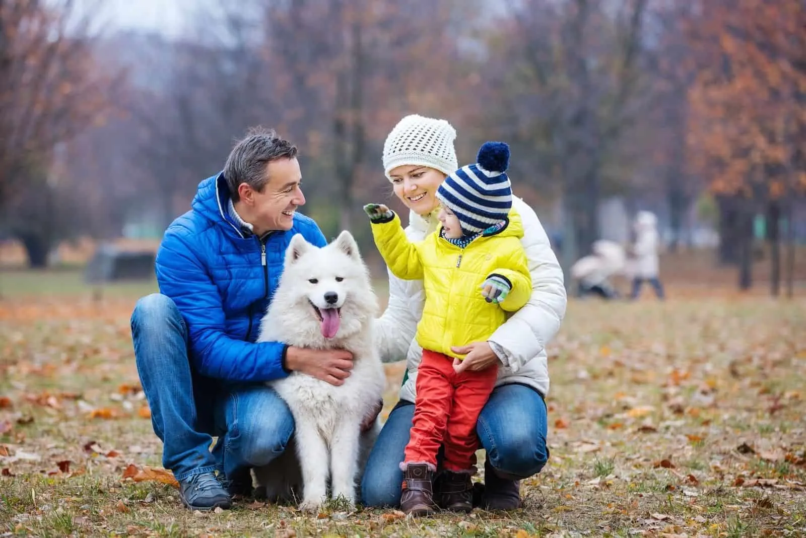 happy family playing with a samoyed dog in autumn park