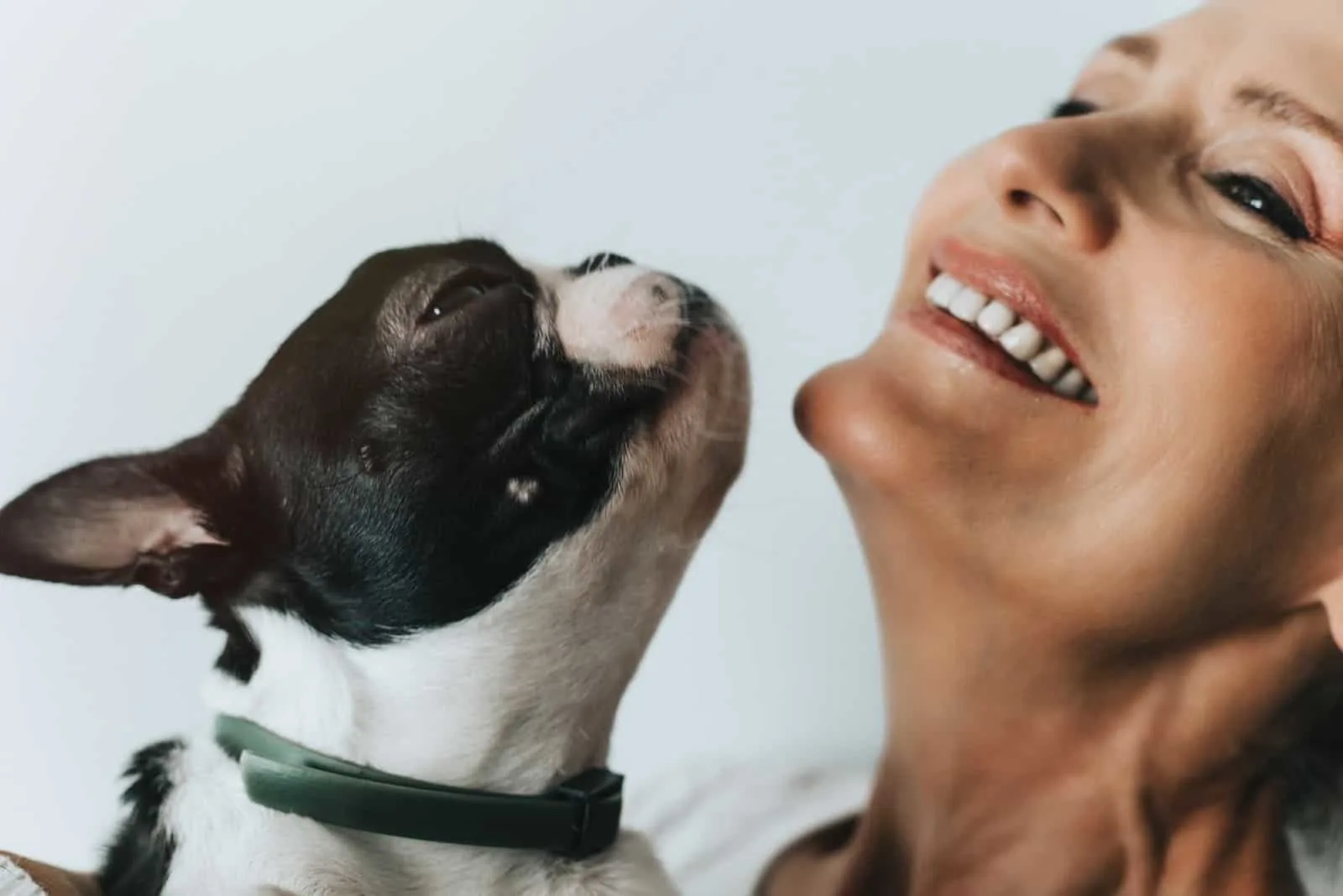 happy mature woman playing with her boston terrier dog