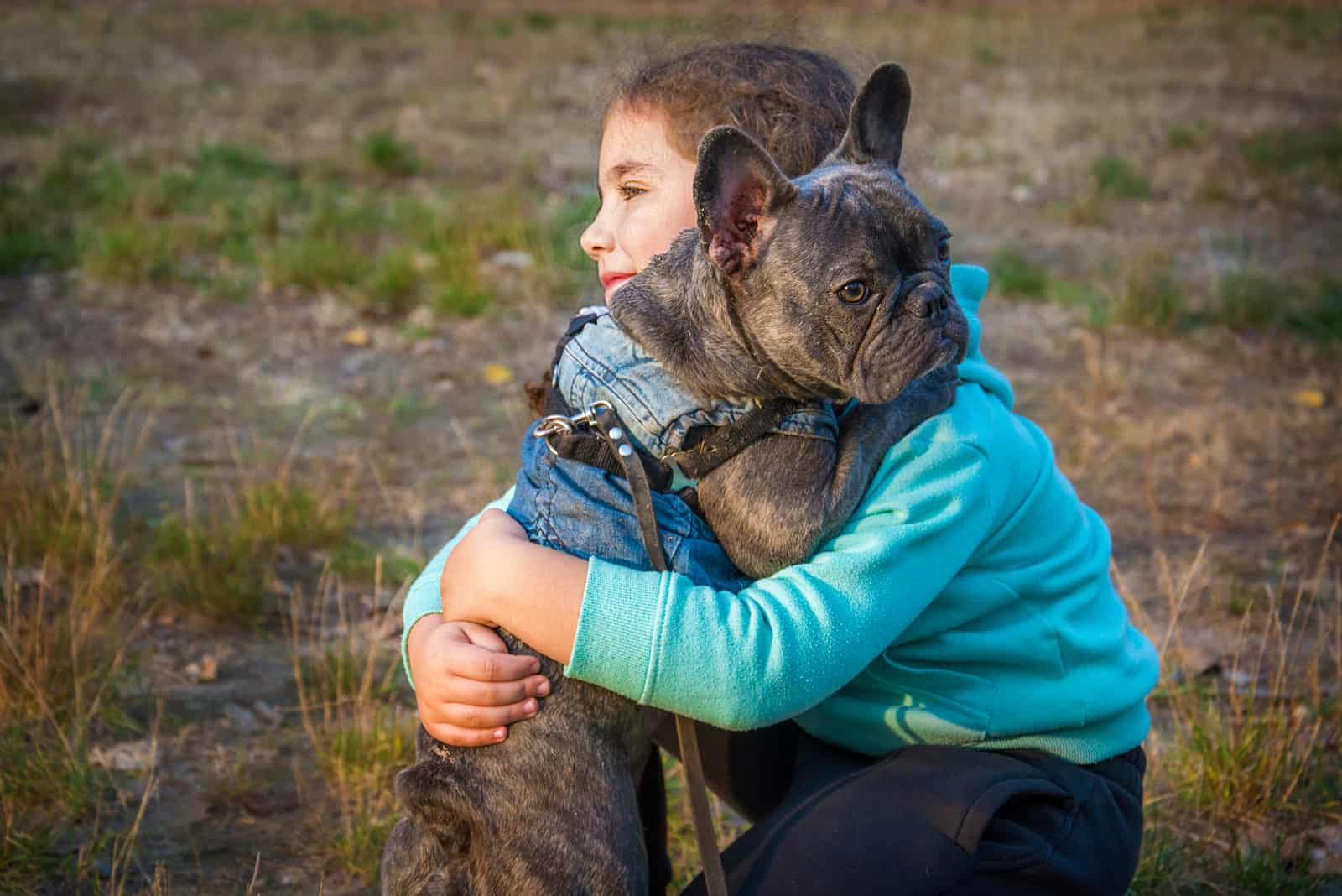 little girl holds a French bulldog in her arms