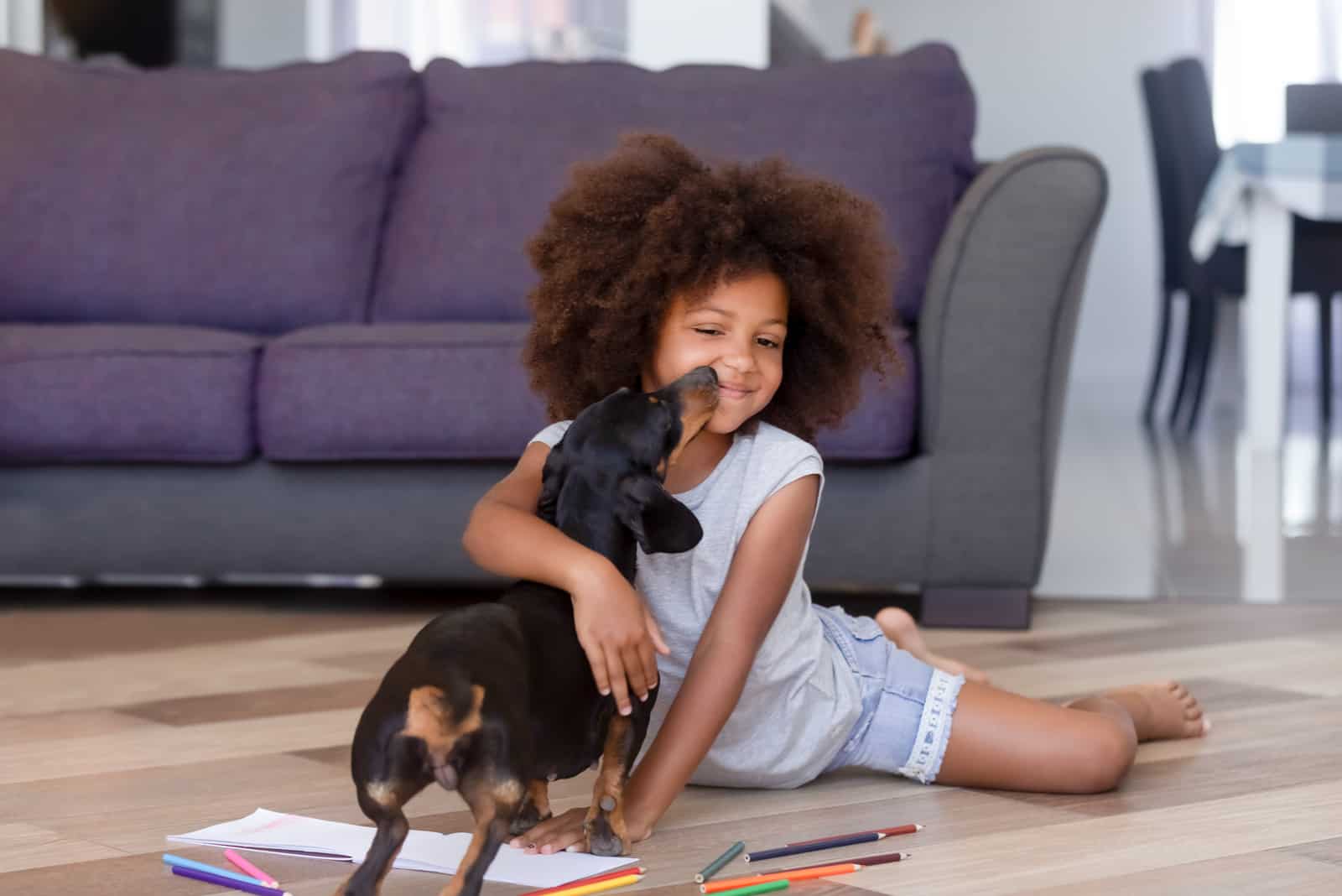 little girl playing with dachshund puppy