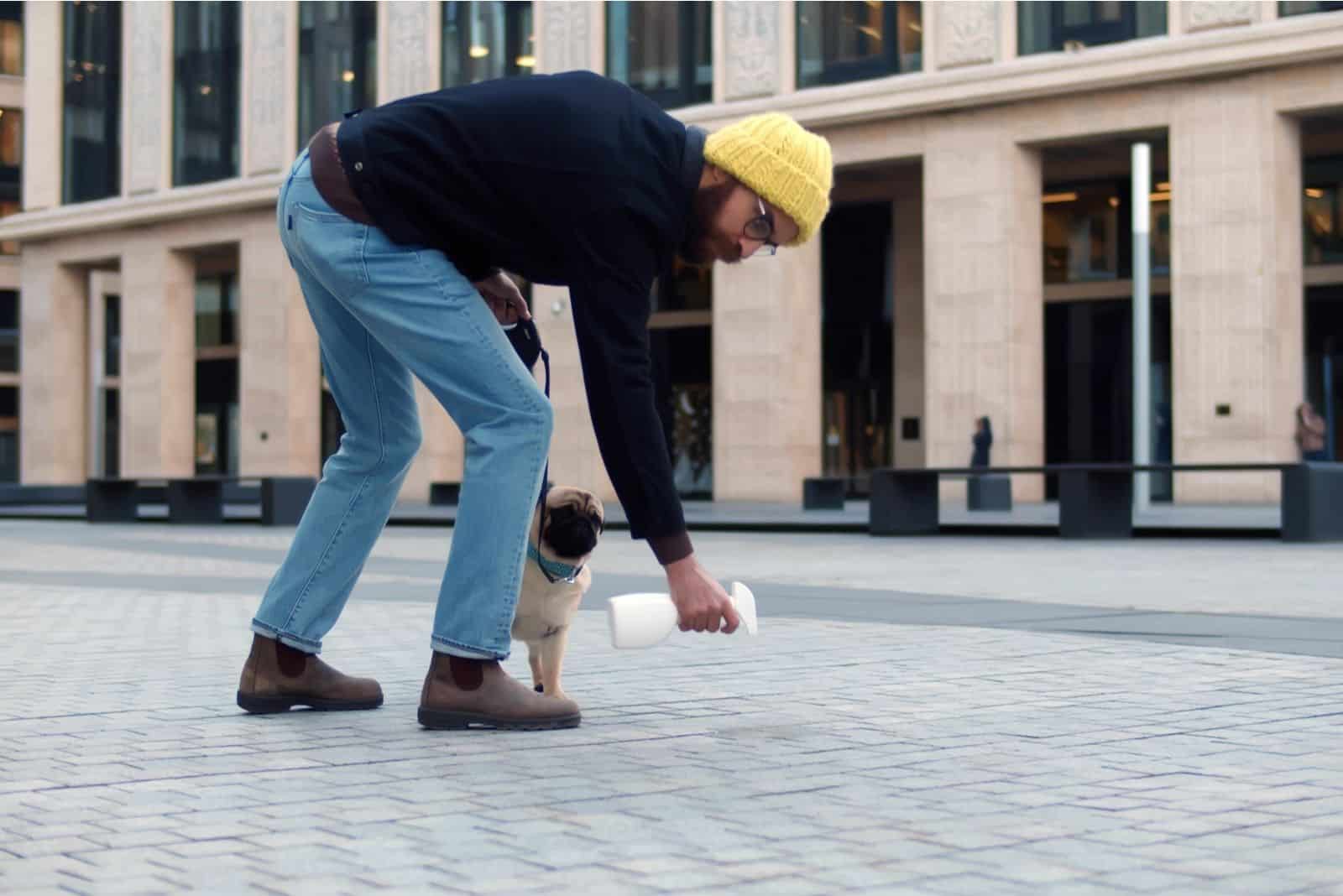 man bending down and cleaning the pug's pee on the pavement