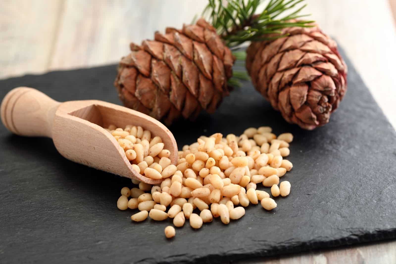 pine nuts overflowing on scoop with pine cones on the table