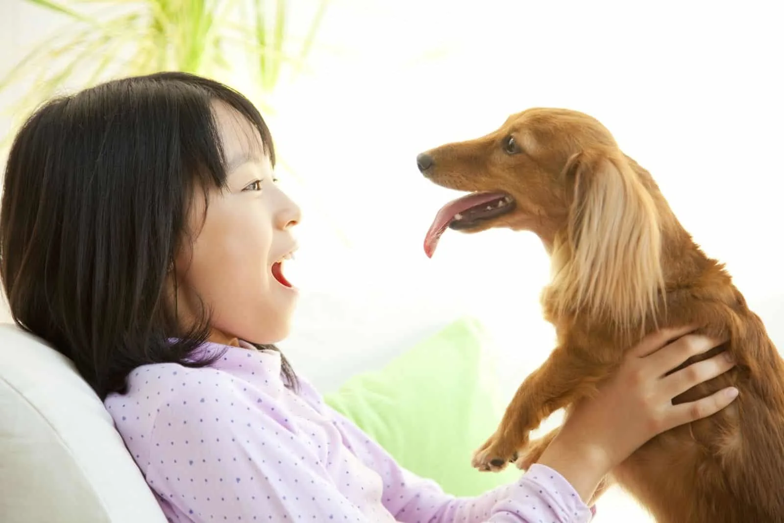 smiling girl hugging a miniature dachshund