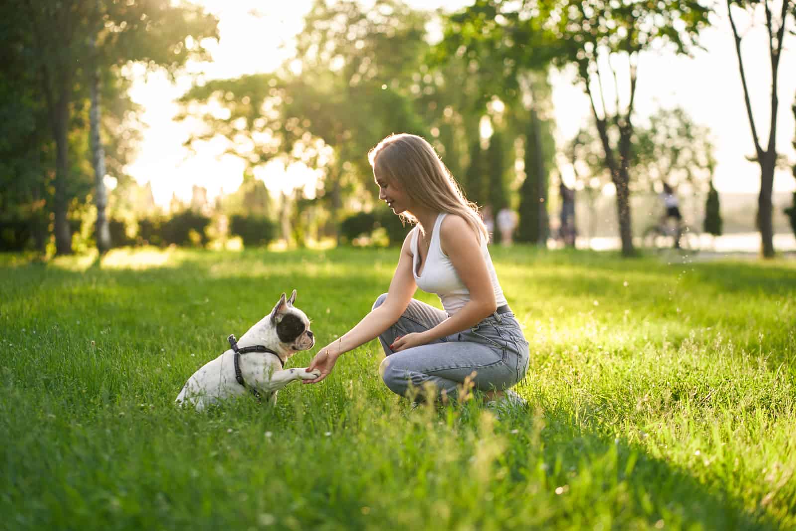 smiling woman training french bulldog in city park