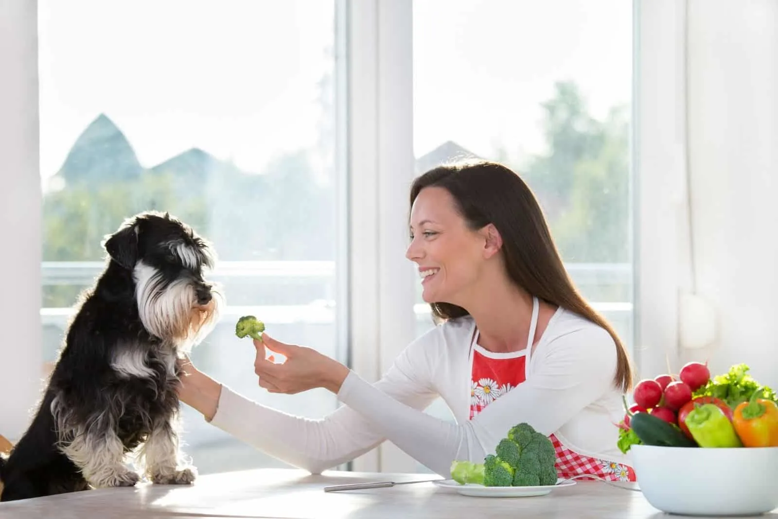 smiling young woman giving broccoli to her dog by the table 